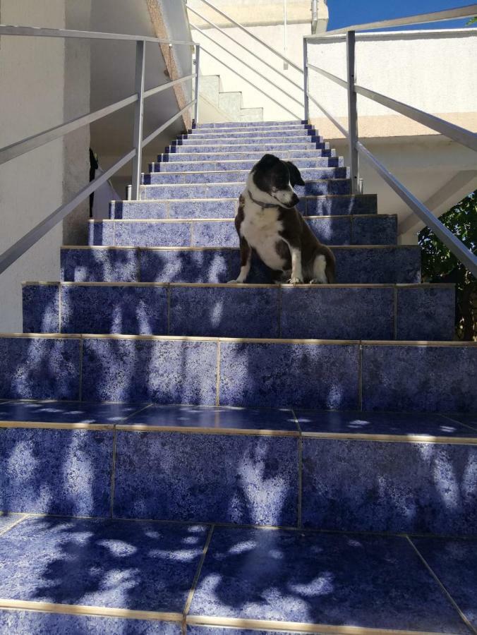 Apartmani Kovacic Murter Kültér fotó